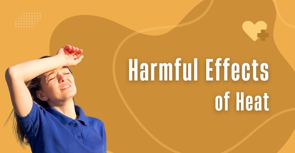 What is the Harmful Effect of Heat & Who is at Most Risk? Solved